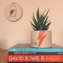 Cargar imagen en el visor de la galería, Maceta Ziggy ⚡