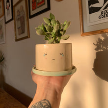 Cargar imagen en el visor de la galería, Los Sads