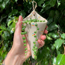 Cargar imagen en el visor de la galería, Barquillo