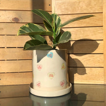 Cargar imagen en el visor de la galería, Macetones Ilustrados