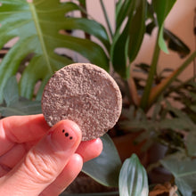 Cargar imagen en el visor de la galería, M o o n i e s