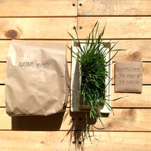 Cargar imagen en el visor de la galería, Kit para Gatics 😻