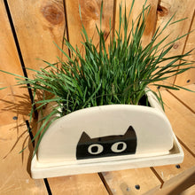 Cargar imagen en el visor de la galería, Kit para Gatics 😻