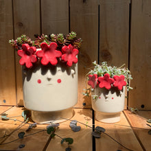 Cargar imagen en el visor de la galería, Sony Maxi