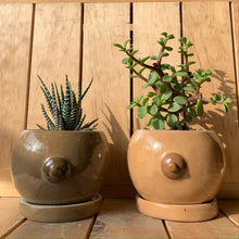 Cargar imagen en el visor de la galería, Mastetas