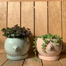 Cargar imagen en el visor de la galería, Mastetas