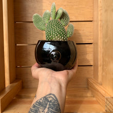 Cargar imagen en el visor de la galería, Mastetas