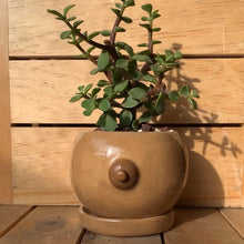 Cargar imagen en el visor de la galería, Mastetas