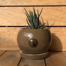 Cargar imagen en el visor de la galería, Mastetas