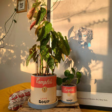 Cargar imagen en el visor de la galería, Campbell's - Love Soup