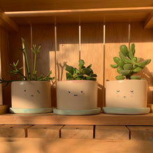 Cargar imagen en el visor de la galería, Los Sads