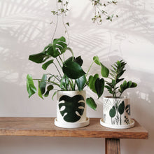 Cargar imagen en el visor de la galería, Macetones Ilustrados