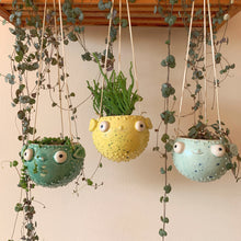 Cargar imagen en el visor de la galería, Pez Globo