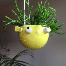 Cargar imagen en el visor de la galería, Pez Globo