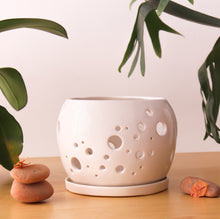 Cargar imagen en el visor de la galería, Pop Dot