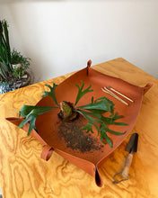 Cargar imagen en el visor de la galería, Charola Plantadora by María Picaflor®