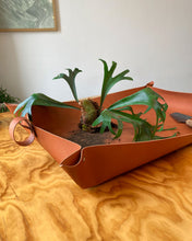 Cargar imagen en el visor de la galería, Charola Plantadora by María Picaflor®